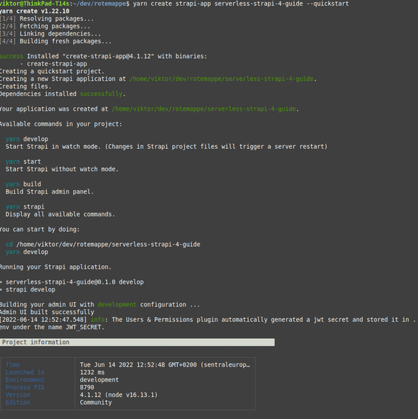 create strapi app.png